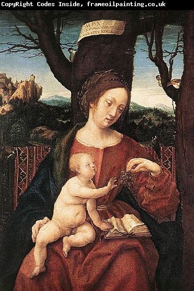 HERRERA, Francisco de, the Elder Madonna with Grape